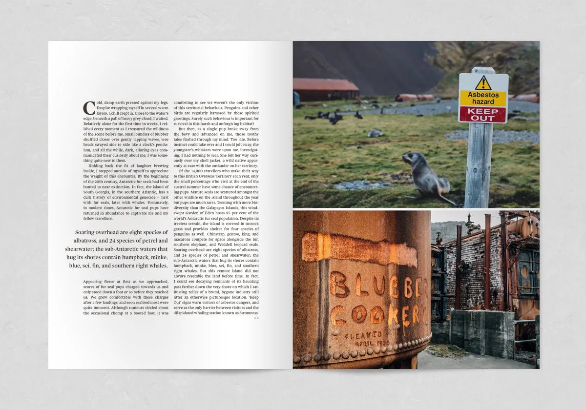 Sidetracked Volume 18